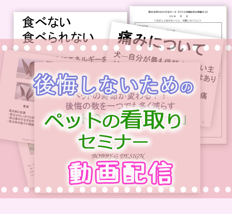 犬の看取り猫の看取りオンライン講座