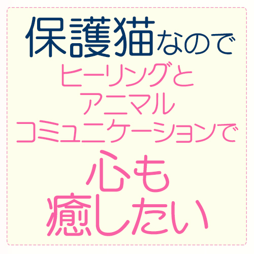 保護猫・保護犬のヒーリング・アニマルコミュニケーション