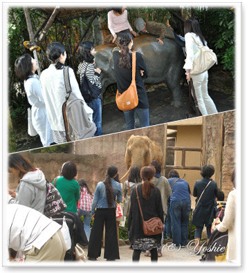 アニマルコミュニケーション講座・動物園